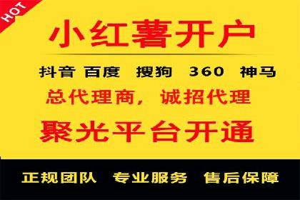 百度SEO推广公司案例精选：助力企业快速崛起